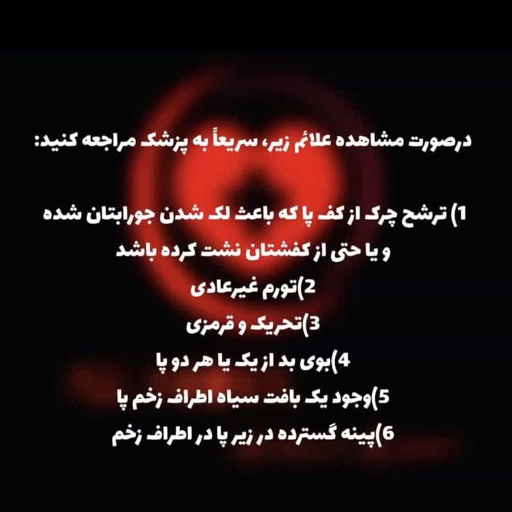 1772004219239.webp