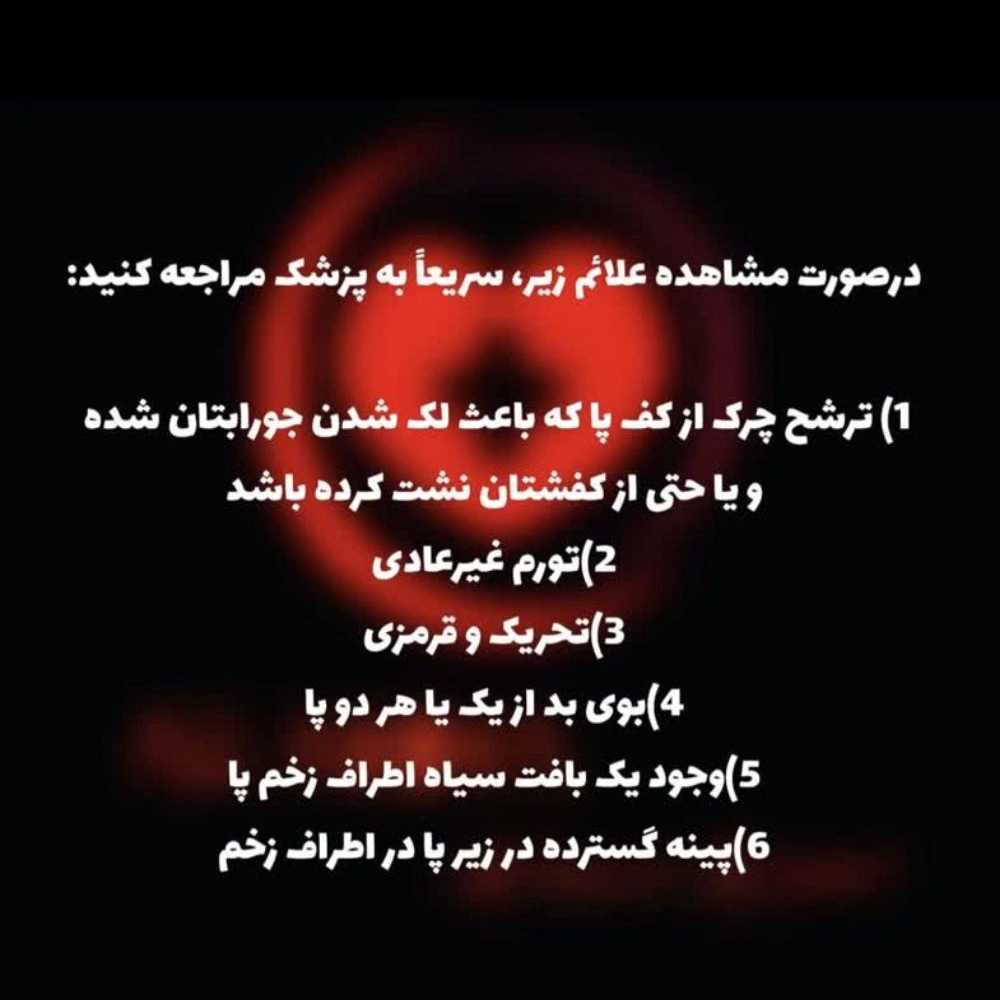 1772004219239.webp
